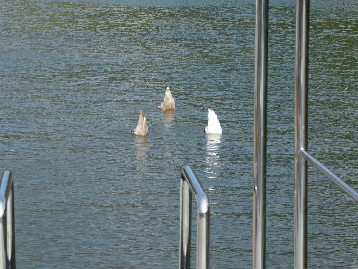 Hausboot Moselrose In Poelich Hotel Polich Exterior photo