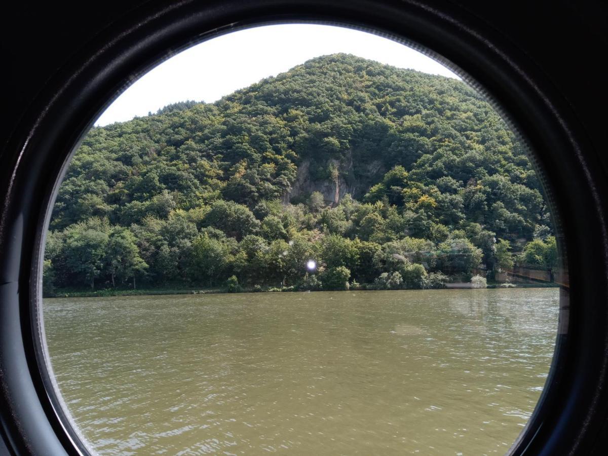 Hausboot Moselrose In Poelich Hotel Polich Exterior photo